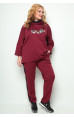 Michel Chic 1227 – спортивний білоруський трикотажний костюм