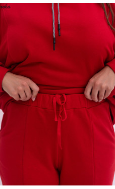 Спортивний костюм Petro Soroka 3729