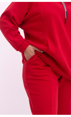 Спортивний костюм Petro Soroka 3729